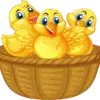 wings-coop.png wings-coop.png